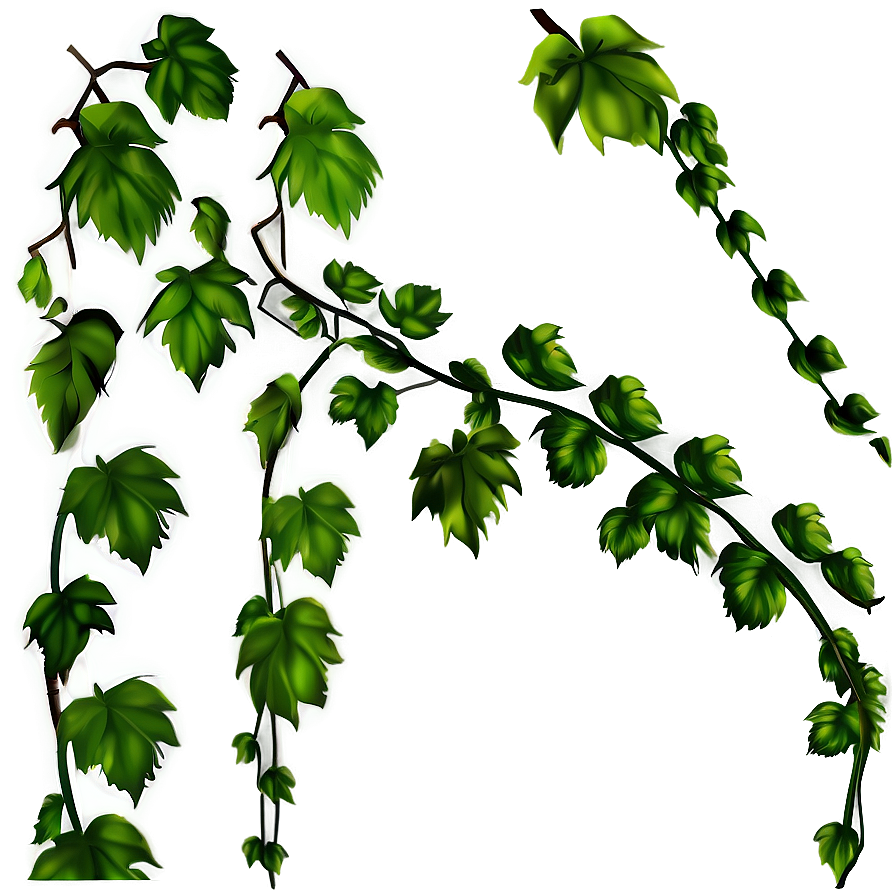 Lush Green Vine Illustration