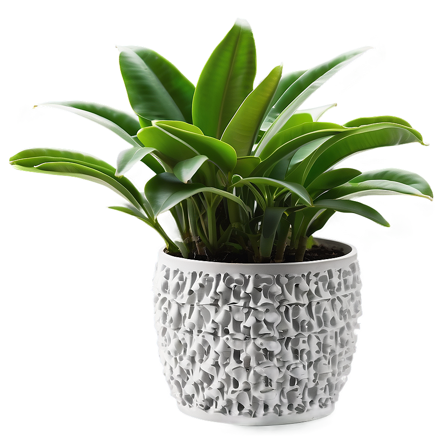 Lush Indoor Plant Png Lfk26