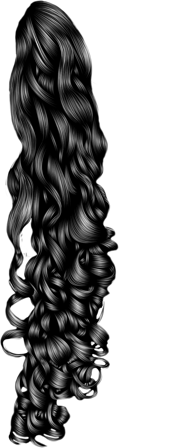 Luxurious Curly Hair Illustration