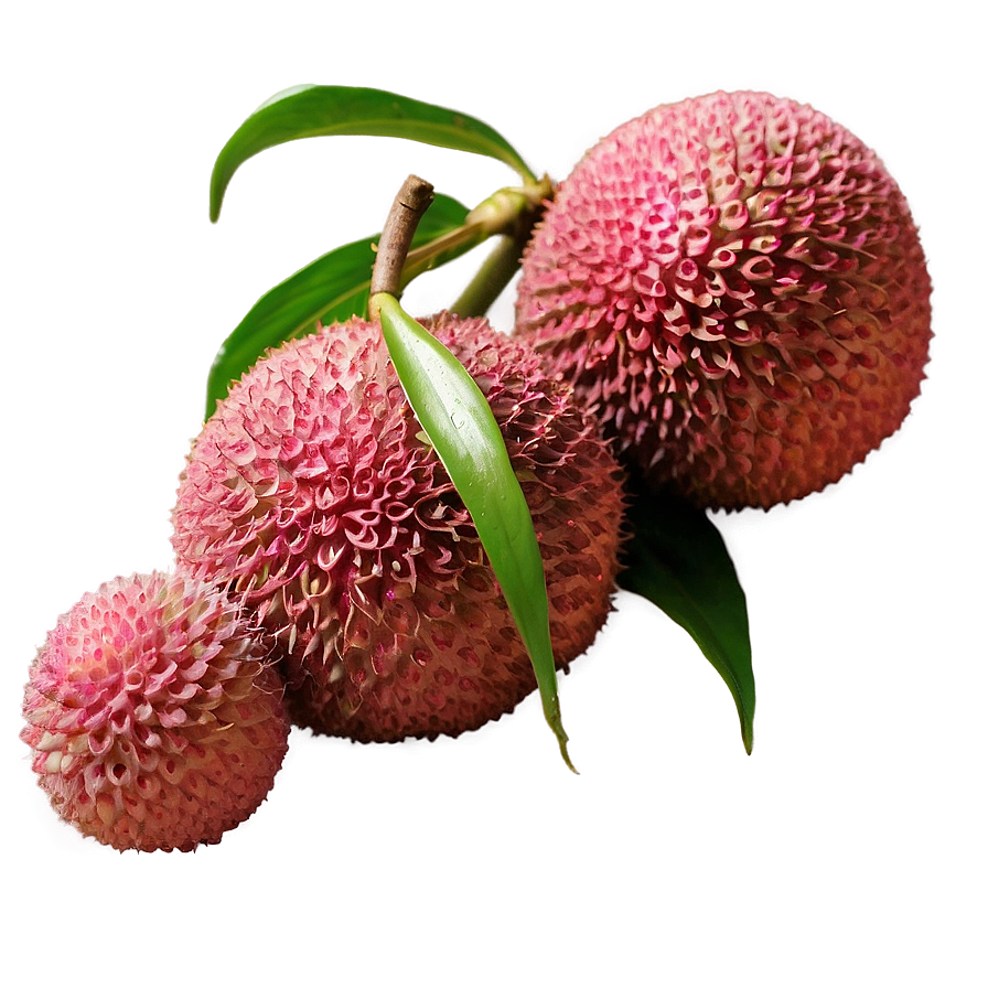 Lychee B