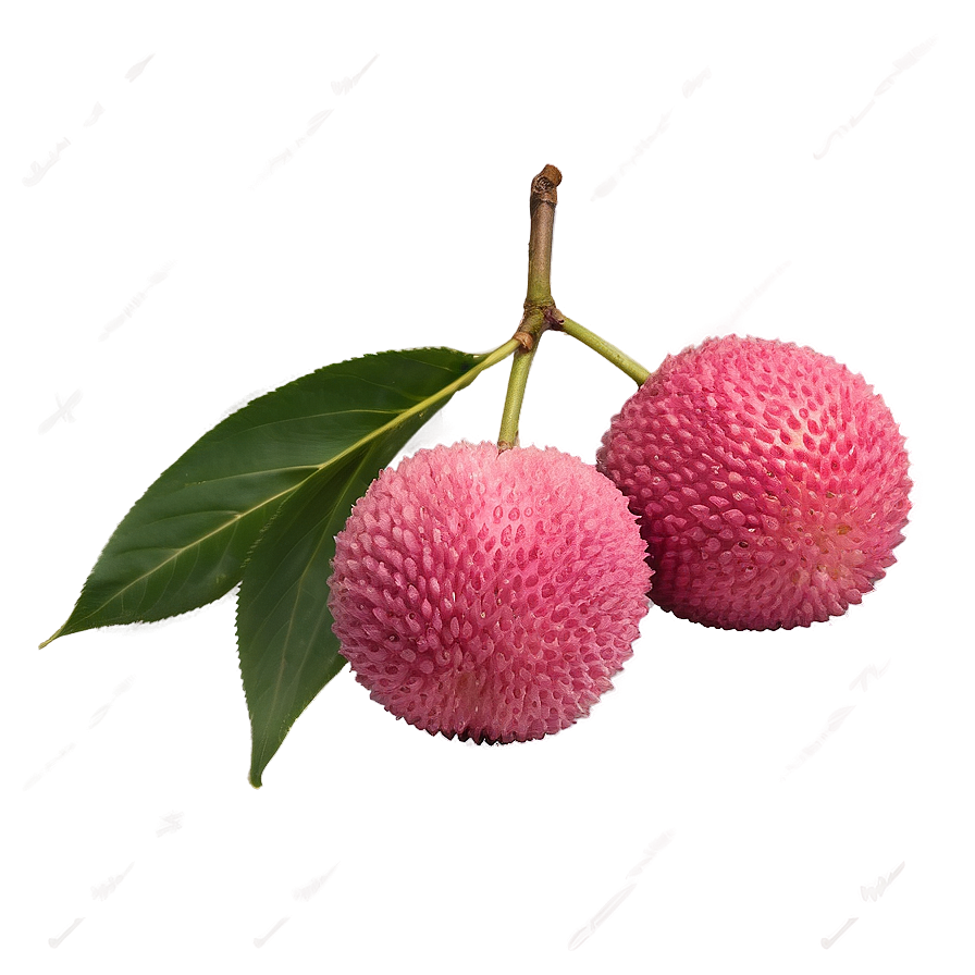 Lychee Pink Flesh Png 06252024