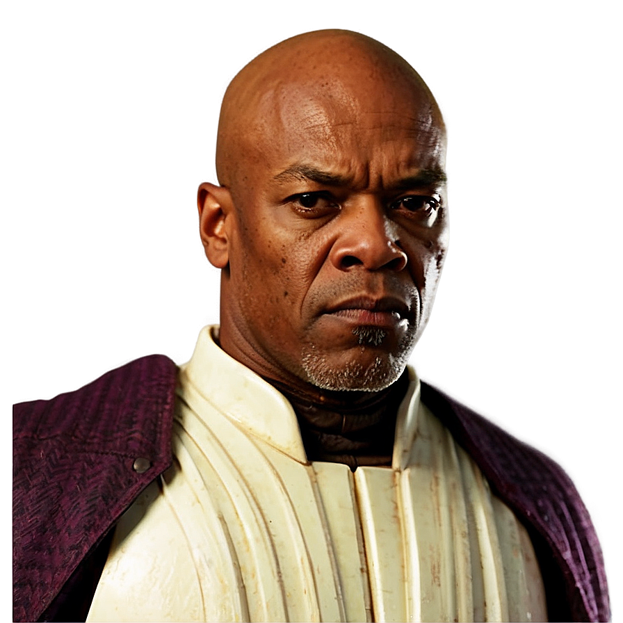 Mace Windu D