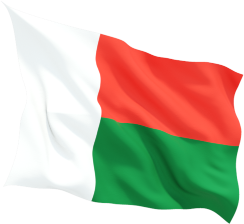 Madagascar National Flag Waving