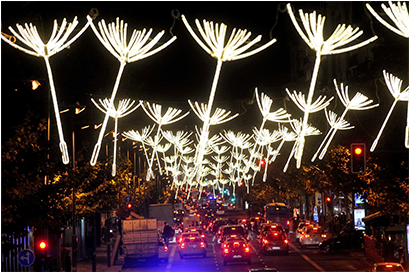 Madrid Christmas Lights Dandelion Design