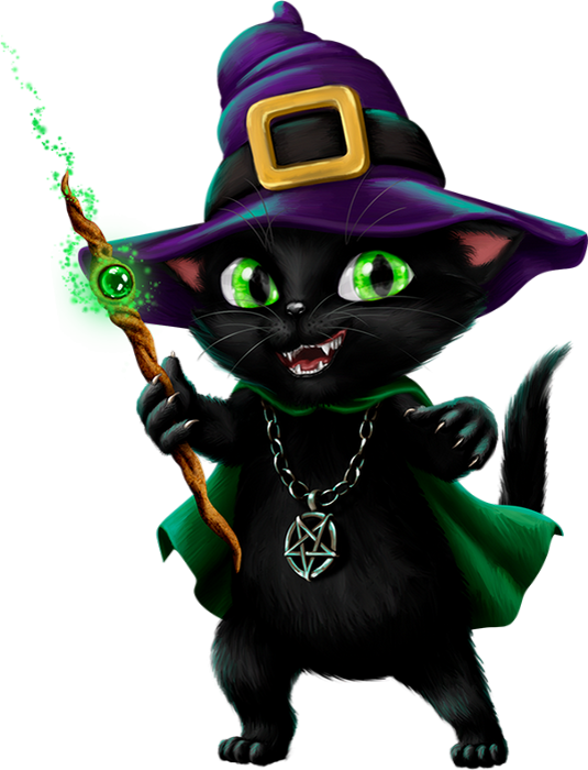 Magical Black Cat Wizard