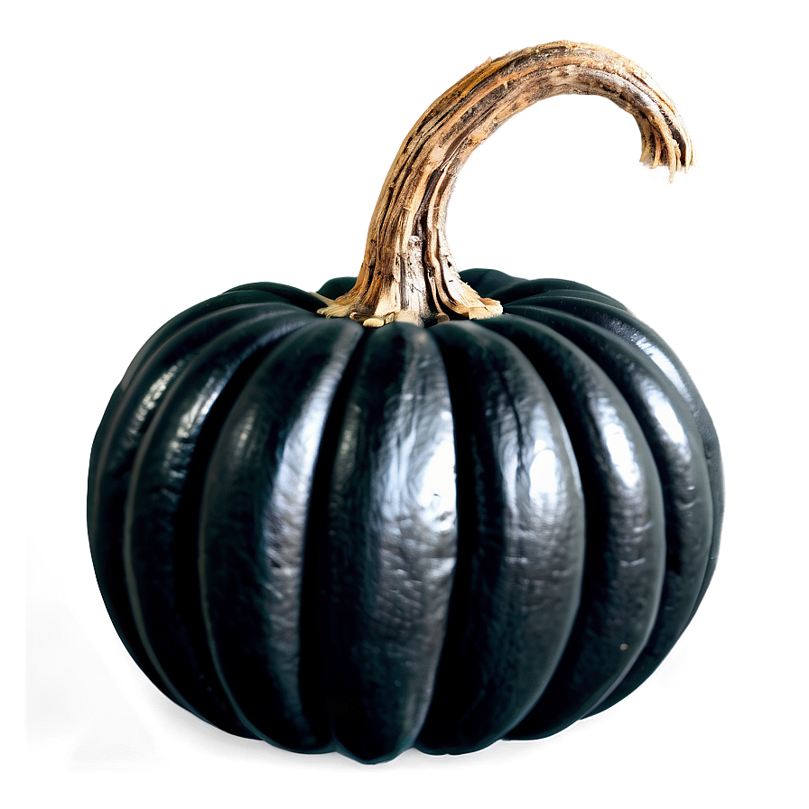 Magical Black Pumpkin Png 06282024