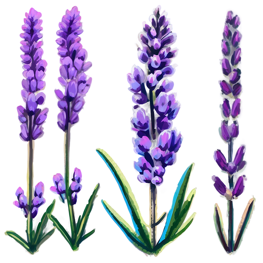 Magical Heather Png Ltf59