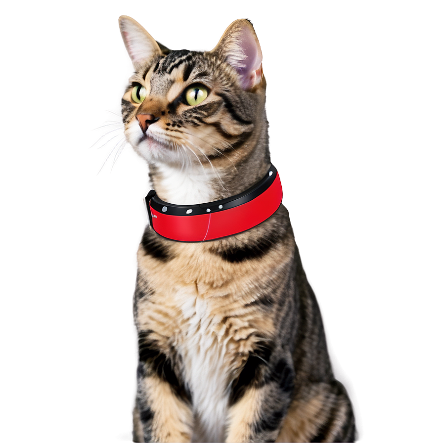 Magnetic Cat Collar Png 21