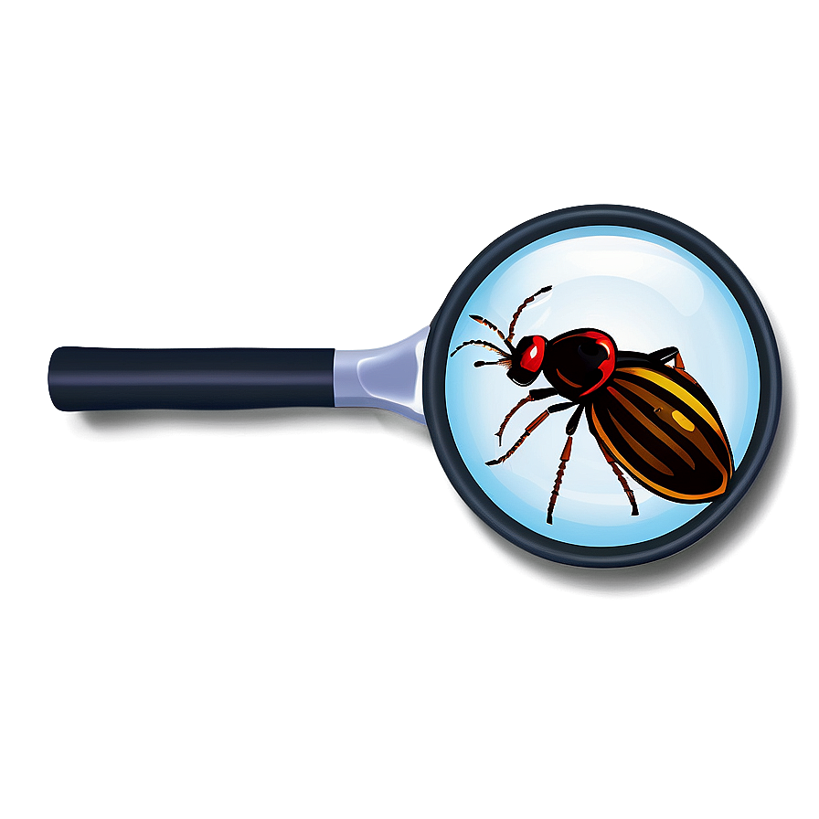 Magnifying Glass With Bug Png 05042024