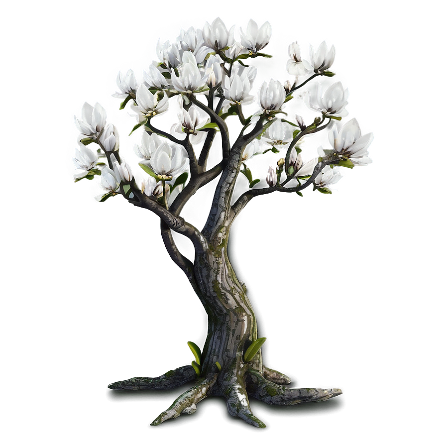 Magnolia Tree Wedding Venue Png 40