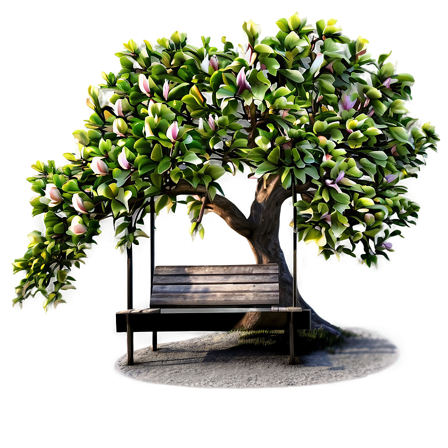 Magnolia Tree With Bench Underneath Png Ewu