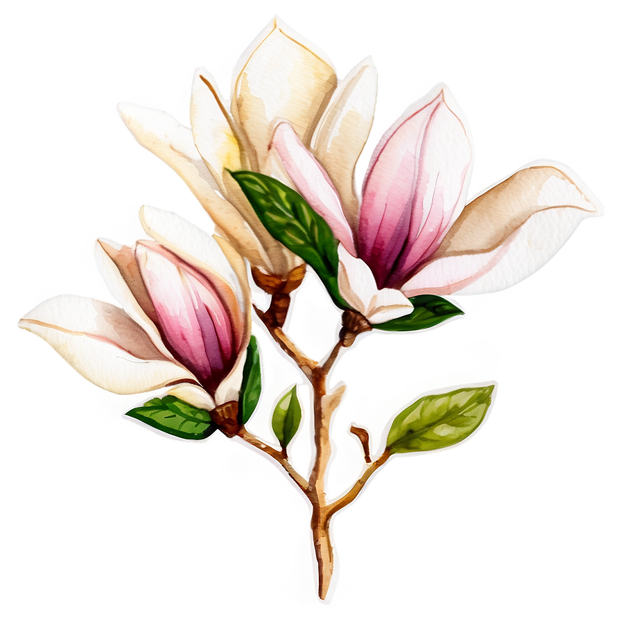 Magnolia Watercolor Charm Png Kpw