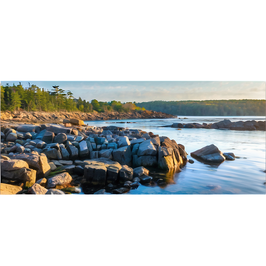 Maine's Rocky Shoreline Png 06202024