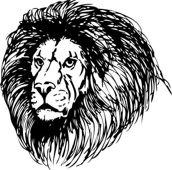 Majestic Black Lion Illustration