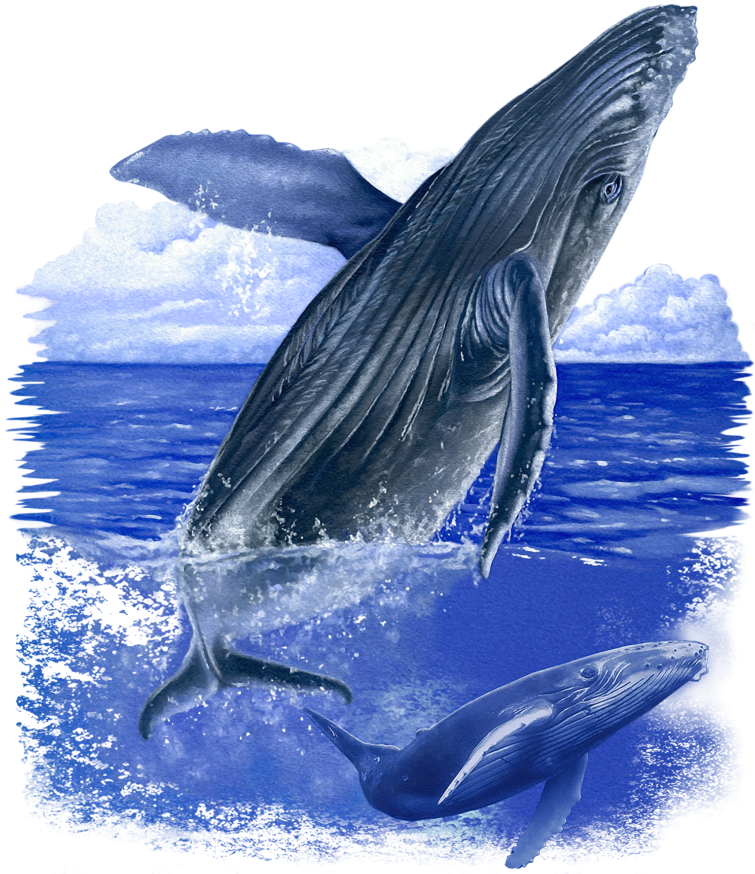Majestic Blue Whales Ocean