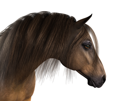 Majestic Brown Horse Portrait