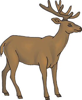 Majestic Brown Stag Illustration