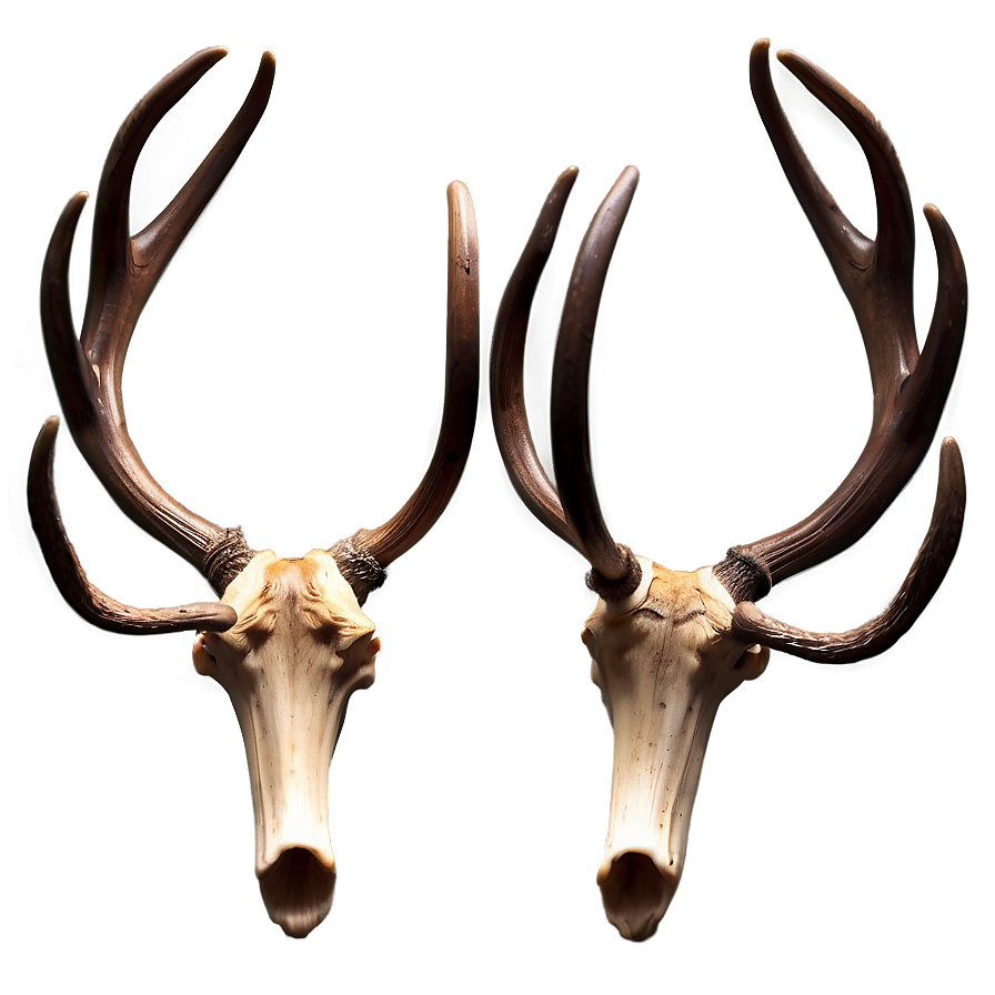 Majestic Deer Antler Design Png Vqi91