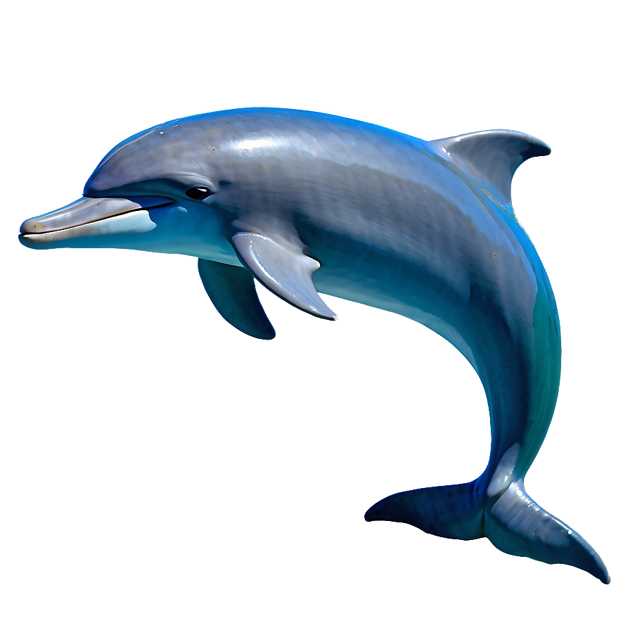 Majestic Dolphin Png 58