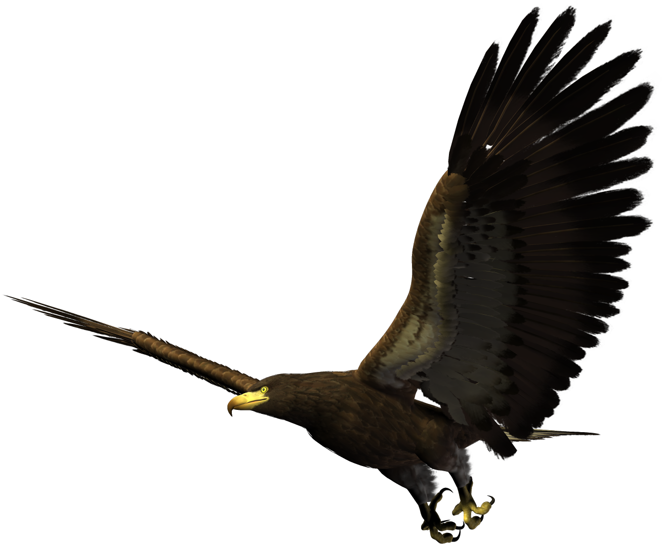Majestic_ Eagle_ In_ Flight.png