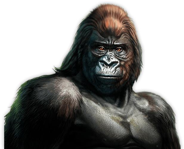 Majestic Gorilla Portrait