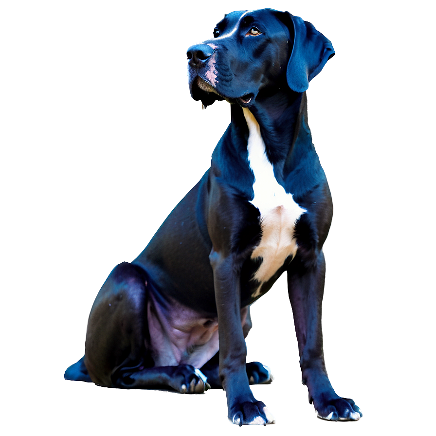 Majestic Great Dane Png Vyp