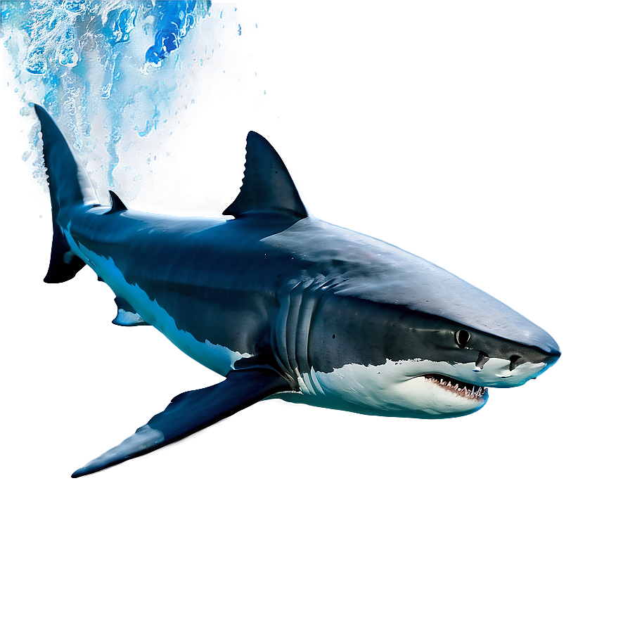 Majestic Great White Shark Png 62