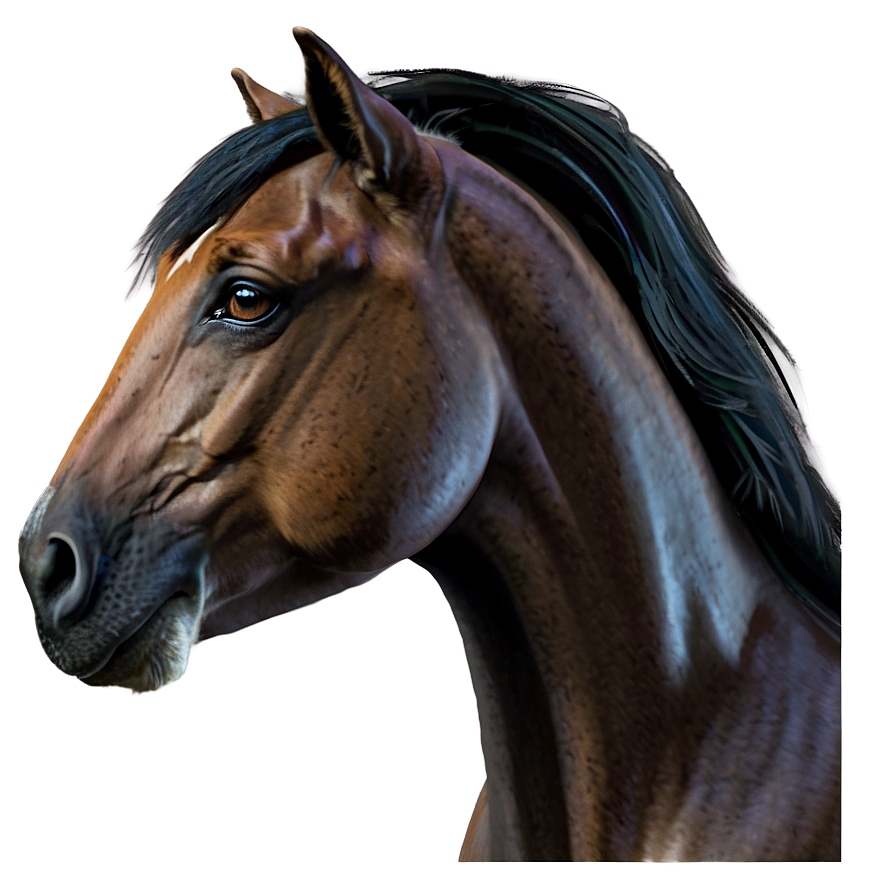 Majestic Horse Png 39