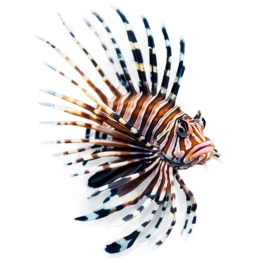 Majestic Lionfish Png 06292024