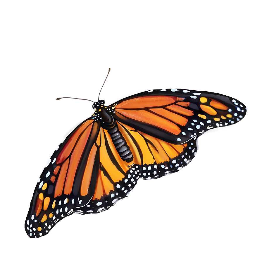 Majestic Monarch Butterfly Png Omf