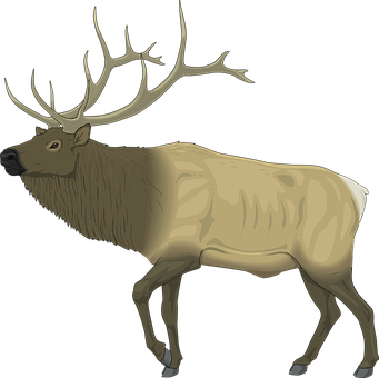 Majestic Moose Illustration