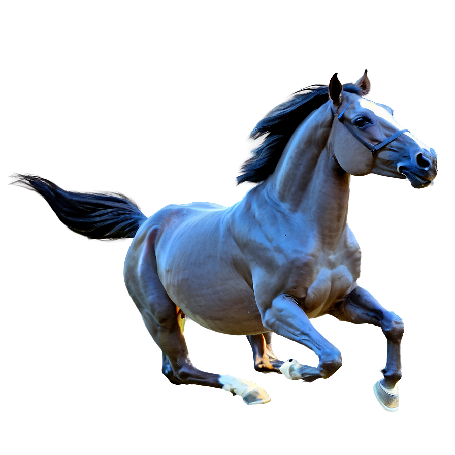 Majestic Mustang Horse Gallop Png Mgu