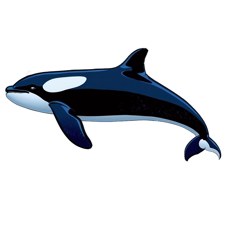 Majestic Orca Whale Artwork Png Djx34