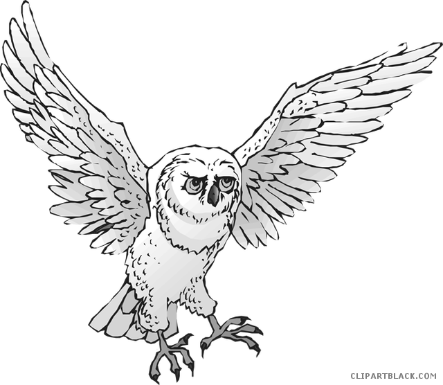 Majestic_ Owl_ In_ Flight.png