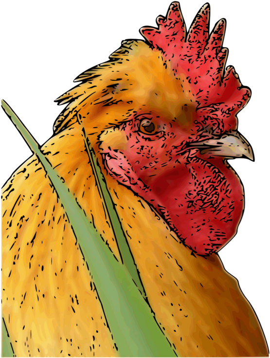 Majestic Rooster Portrait