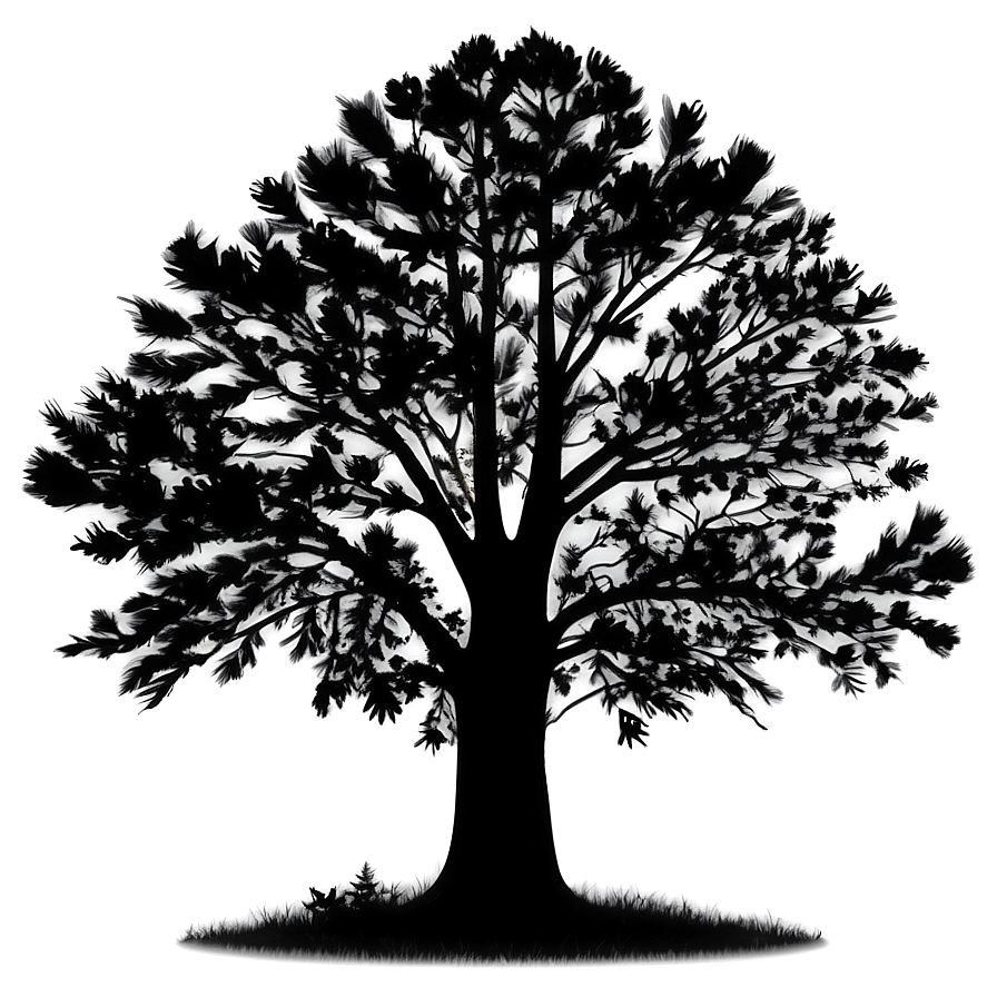 Majestic Tree Silhouette Png 83