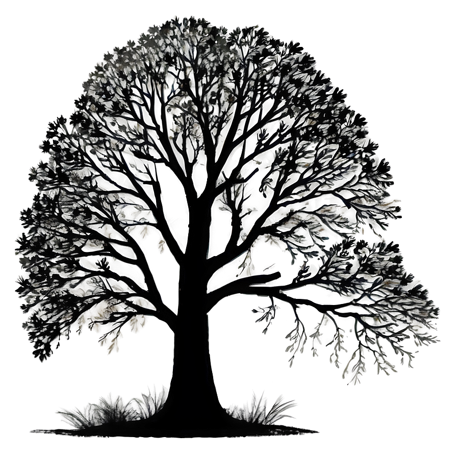 Majestic Tree Silhouette Png Dro