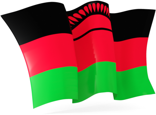 Malawi Flag Waving