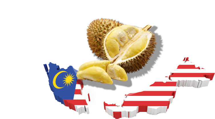 Malaysia Durian Fruit National Flag