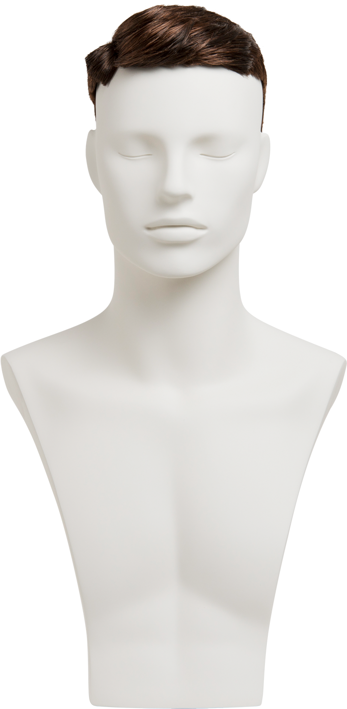 Male Mannequin Bust Display