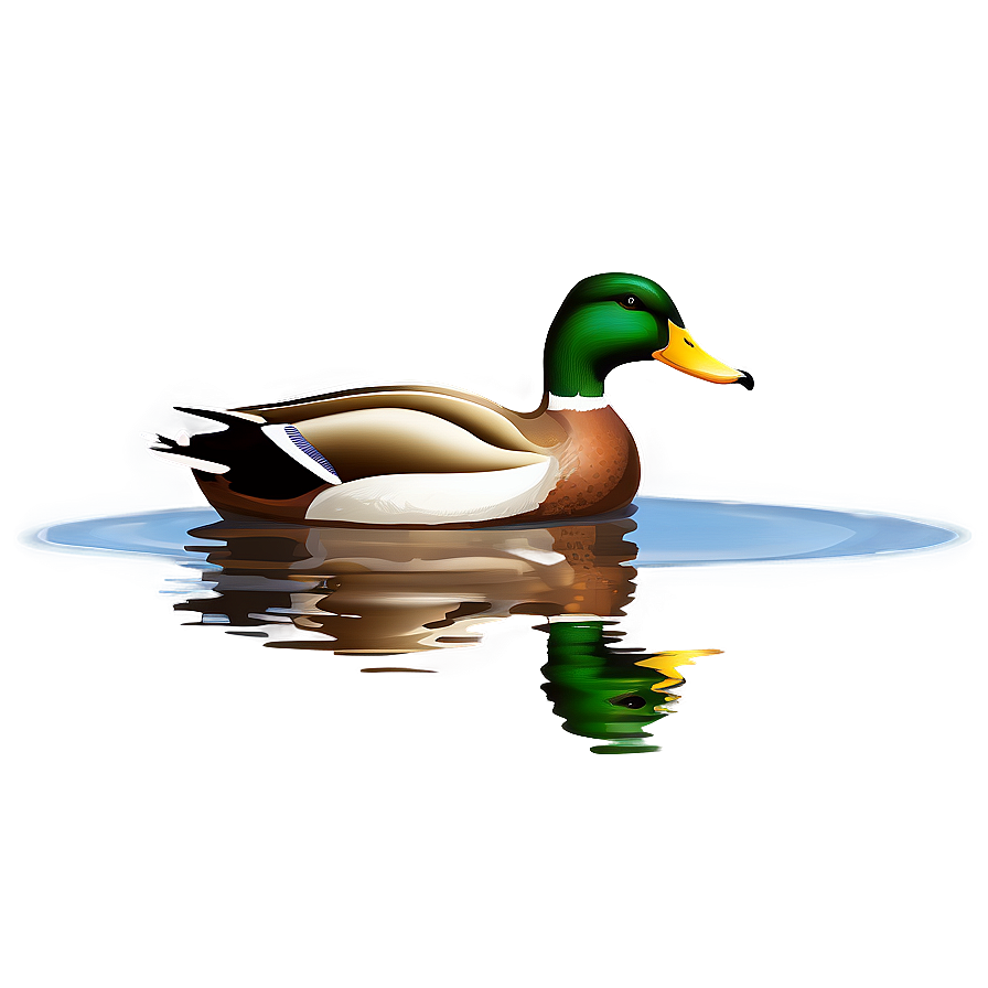 Mallard Duck Clipart Png Fmx1