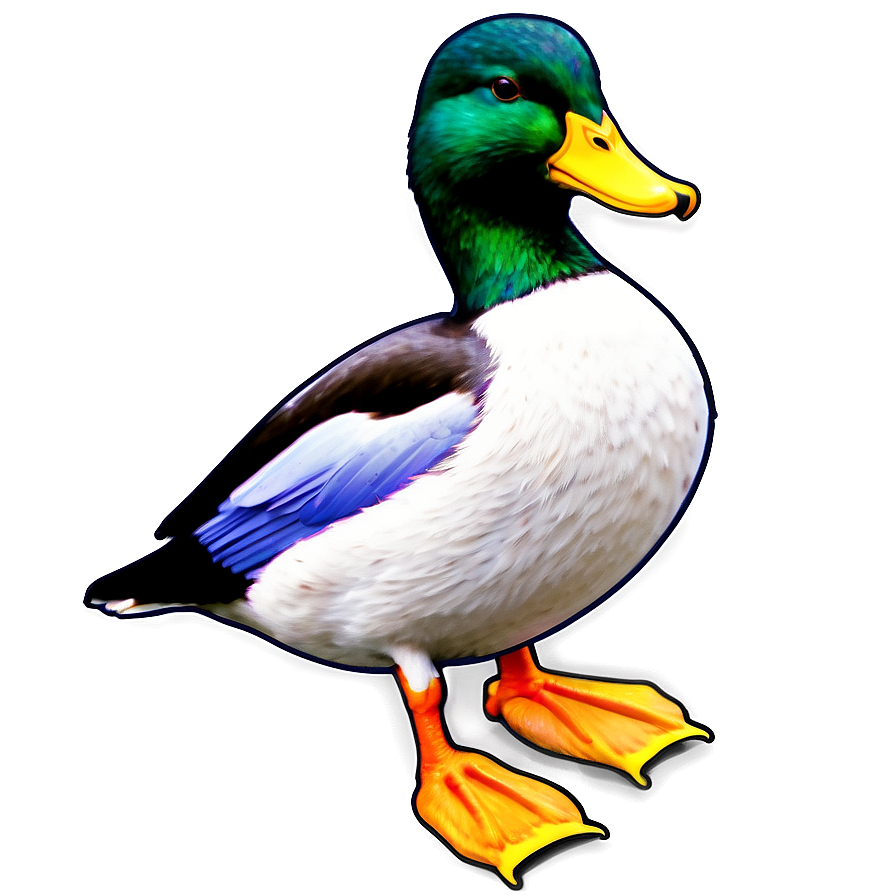 Mallard Duck Scene Png San30