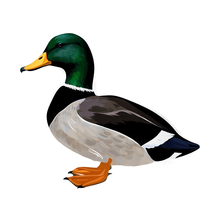 Mallard Duck Silhouette Png Hty56