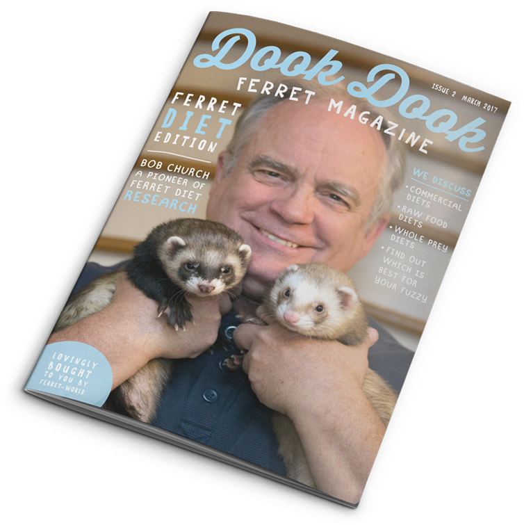 Man Holding Ferrets Ferret Magazine Cover