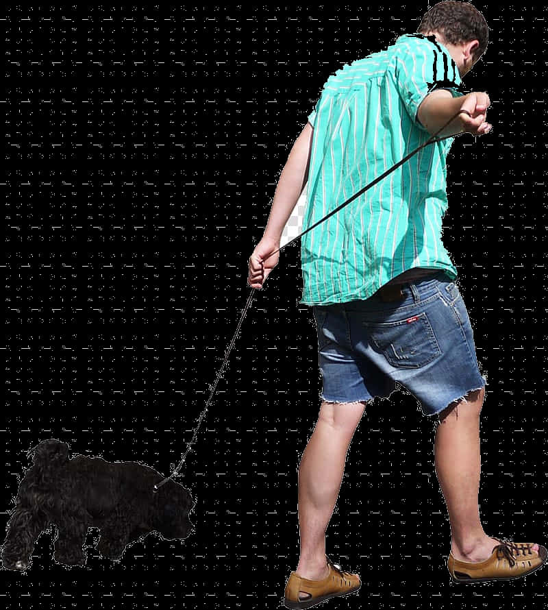 Man Walking Dog Transparent Background