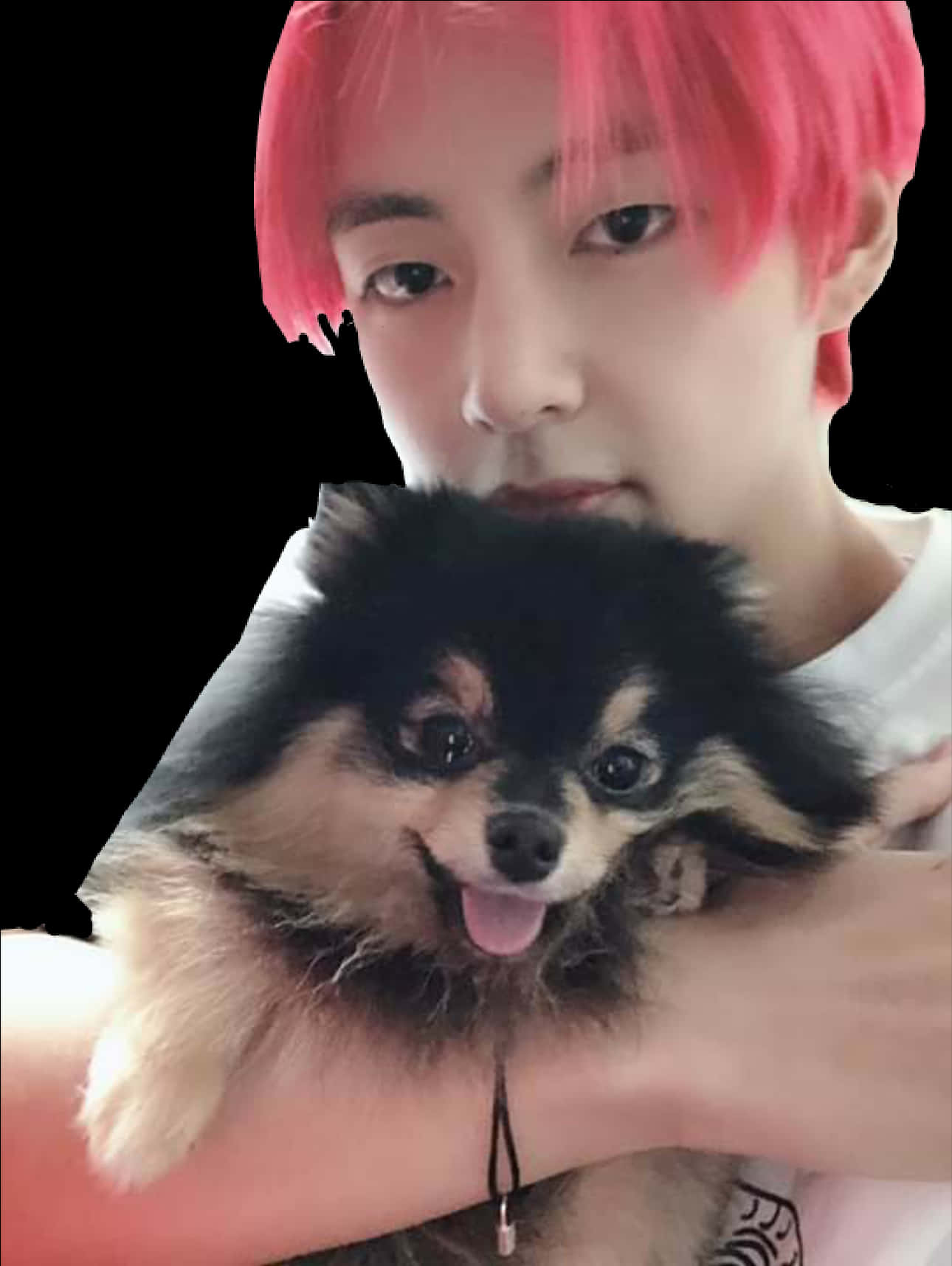 Man_with_ Pink_ Hair_and_ Pomeranian_ Dog