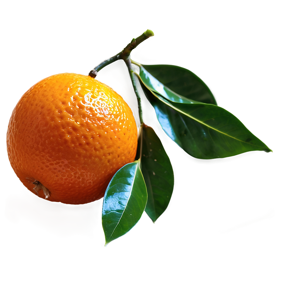 Mandarin Oranges Png Oio57