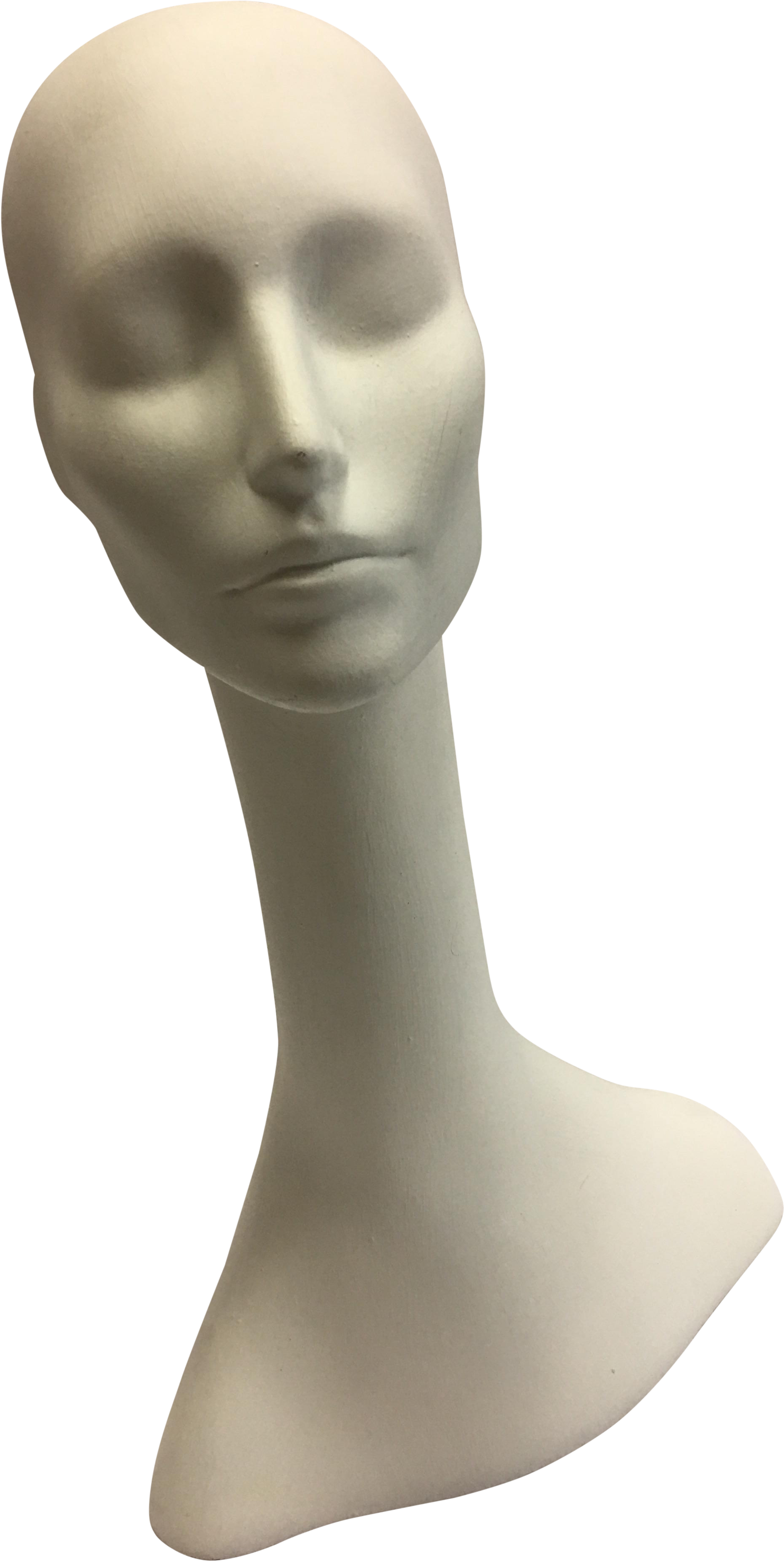 Mannequin Head Display