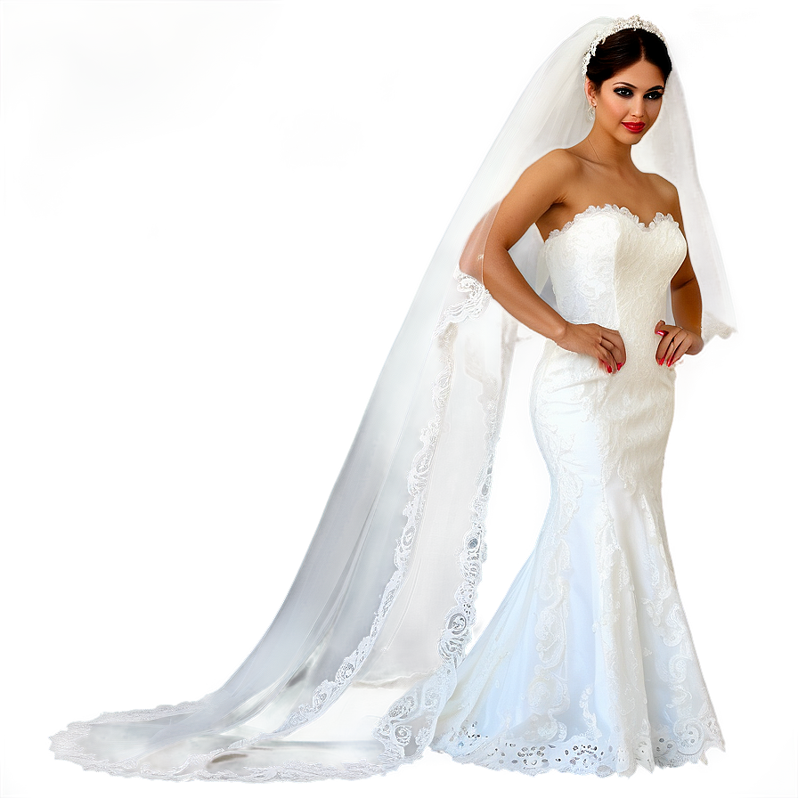 Mantilla Bridal Veil Png 06272024