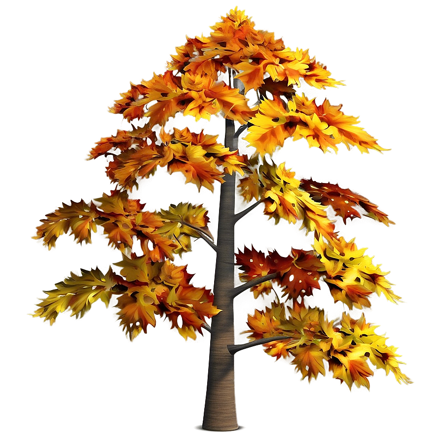 Maple Autumn Tree Png 06122024